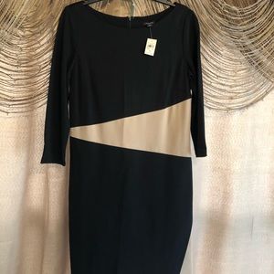 Ann Taylor Dress